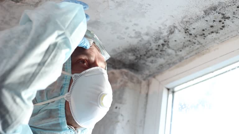 Asbestos and Lead Testing During Mold Inspection